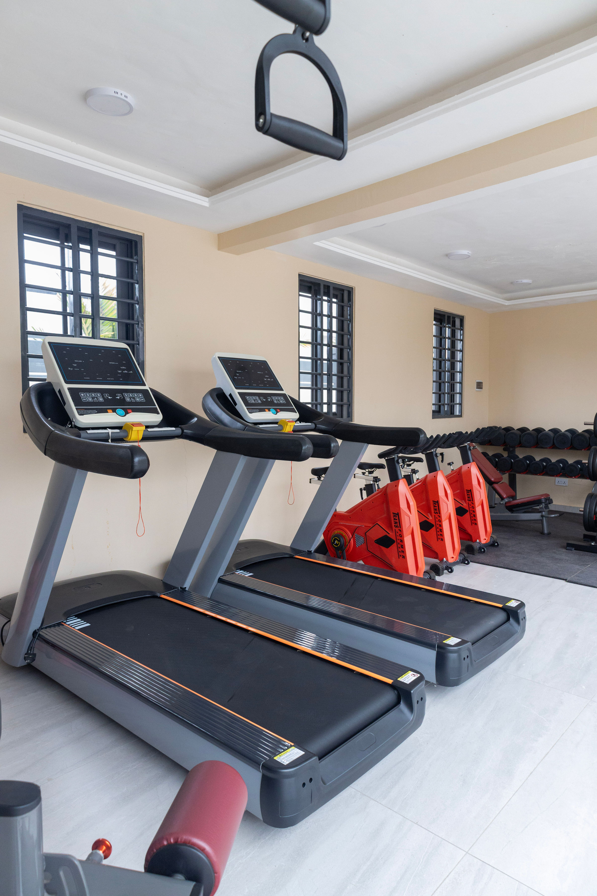 A row of treadmills facing the gym windows
